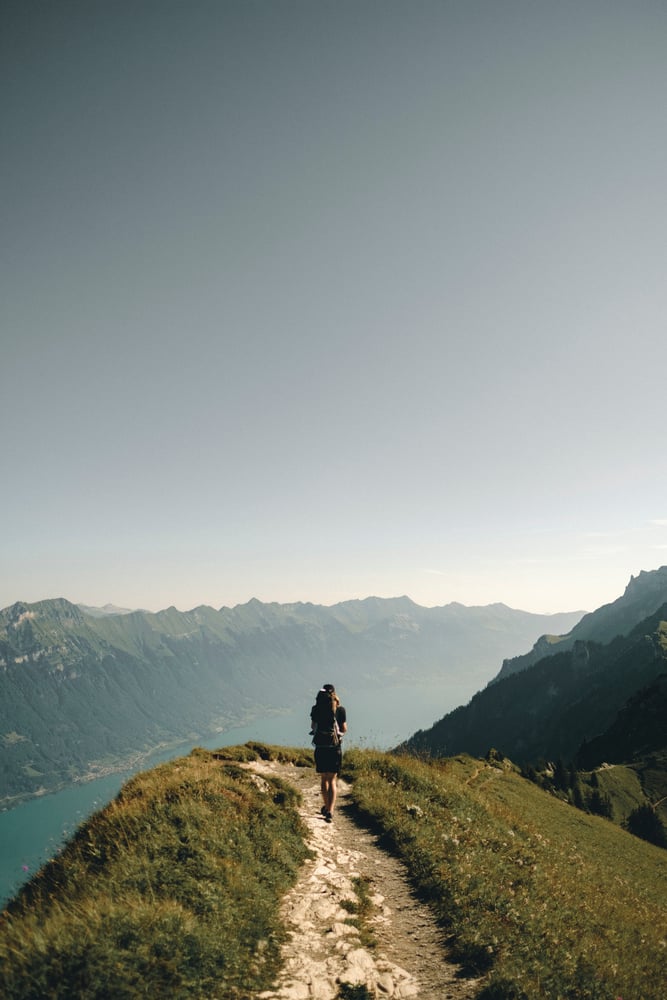 joel-jasmin-forestbird-znoL1m6MD_k-unsplash joel-jasmin-forestbird-znoL1m6MD_k-unsplash